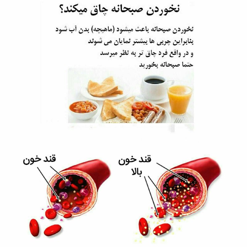 🍃طب گیاهی و سنتی🍃: 🔴 احتمال چاق شدن افرادی که هرروز صبحانه میخورند 1/3 کمتر از کسانی است که ازخوردن آن پرهیز میکنند✅ به علاوه احتمال ابتلای