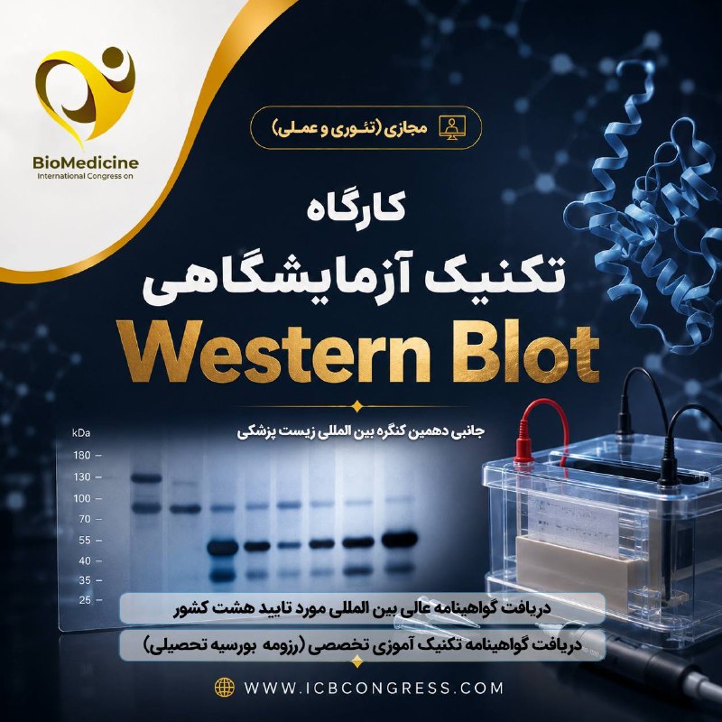 Biomedicine 2025: 😖 کارگاه تخصصی تکنیک آزمایشگاهی Western Blot - وسترن بلات💻 نوع برگزاری: مجازی💫 نوع آموزش: تئوری و عملی (تنها کارگاه آموز
