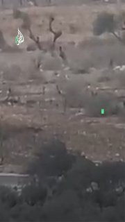 הרגע שבו צעירים התעמתו עם תקיפה של מתנחלים וניסיונם לגנוב רכב בכניסה לכפר אל-מוג'יר, צפונית מזרחית לרמאללה.