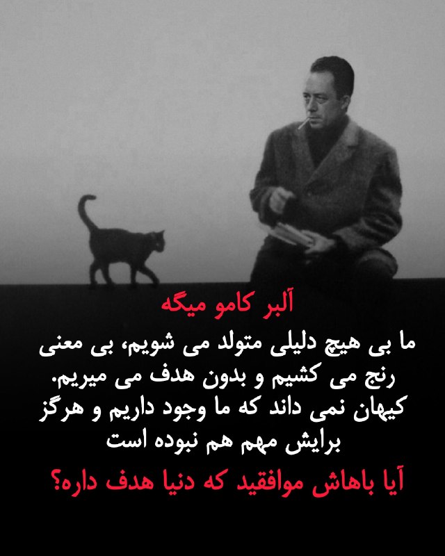 ویکی اسپیس: آلبر کامو (۱۹۱۳–۱۹۶۰) نویسنده، فیلسوف، روزنامه‌نگار و مقاله‌نویس فرانسوی بود که خیلی‌ها او را از تأثیرگذارترین متفکران ق