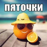 бобр курва🦫