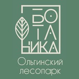 Ботаника~Ольгинский лесопарк