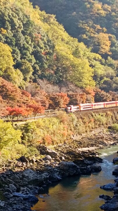 保津峽賞楓記