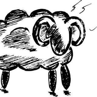BlackSheep Python Web Framework Telegram Group Link