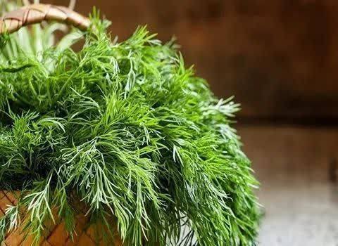 شبکه باران: ✅ تاثیر شوید بر دستگاه گوارش💠 دانه‌های شوید روی عضلات روده‌ای اثر می‌گذارند و مانع از #اسپاسم_روده‌ ای می‌شود.💠 همچنین ا