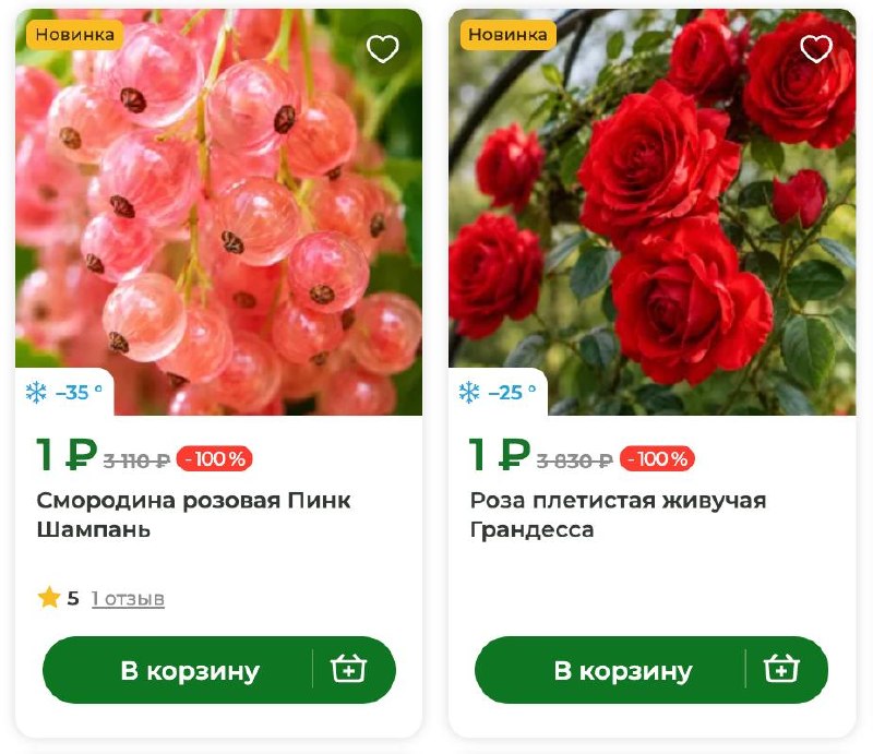 Не спрашивайте, зачем я искала саженцы.