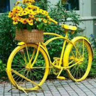 Cycling world Telegram channel profile photo