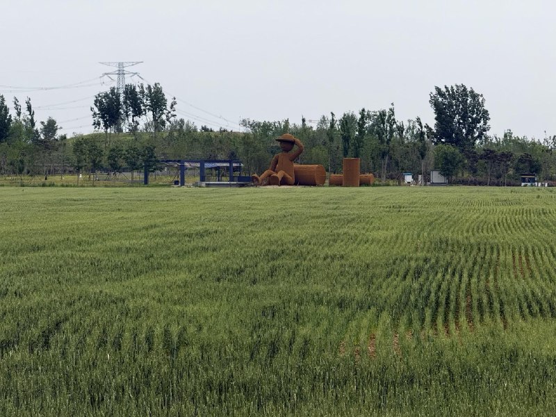 温榆河沉浸式骑行路快修好了没有汽车没有红绿灯温榆河沉浸式骑行路快修好了没有汽车没有红绿灯