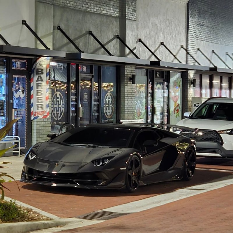 SVJ Full Carbon 8