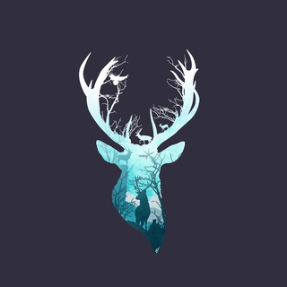 Zephyr Deer Telegram channel profile photo