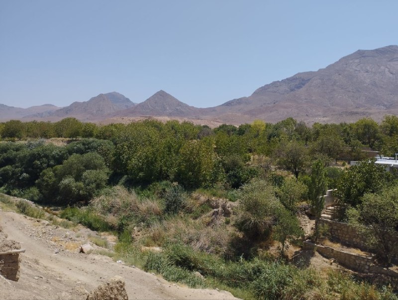 کانال خبری خورهه: 🔴🔴فرصت اشتغال و توانمندسازیپرداخت تسهیلات اشتغالزاییویژه سرپرستان خانوار🔹 شرایط متقاضیان:دهک درآمدی ۱ تا ۴فاقد بیمه اجب