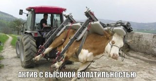 Сделку на крипторынке под залог коров провели в Бразилии. Буренкам присвоили уникальные цифровые номера и превратили в токены.Про то, как криптаны помогают фермерам — у нас в MAX.