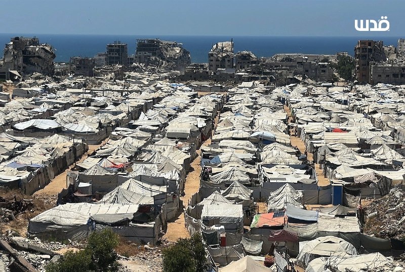 עשרות אלפי עקורים בעזה חיים באוהלים ובמקלטים זמניים במחסור חמור