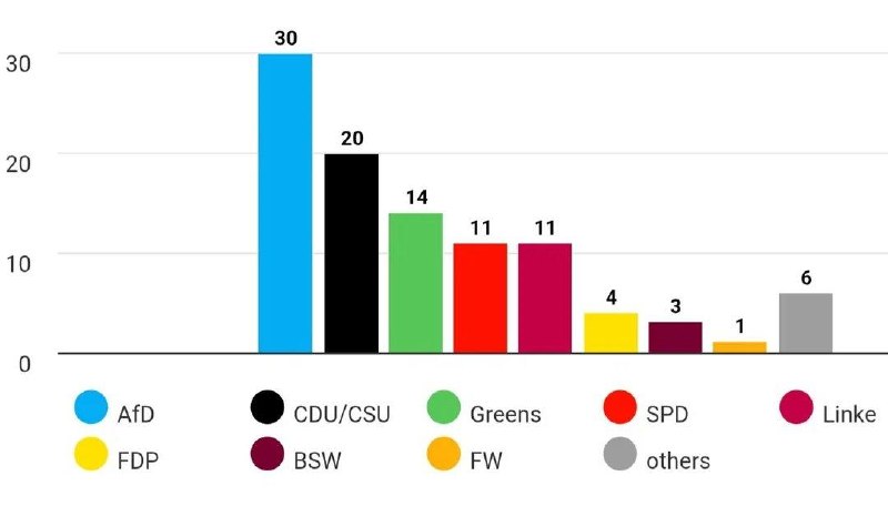 חדש: AfD הגיע ל-30% בסקר ארצי בפעם הראשונה.