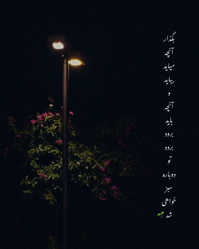 ❖ مجله •🍀• زندگی ❖: رسانه پست
