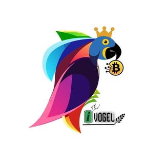 IVOGEL CHAT Telegram Group Link