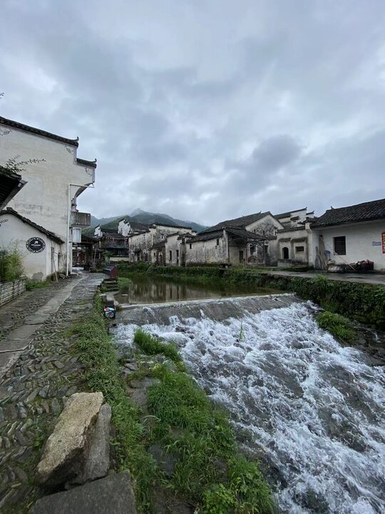 盧百萬與六個姨太的故事