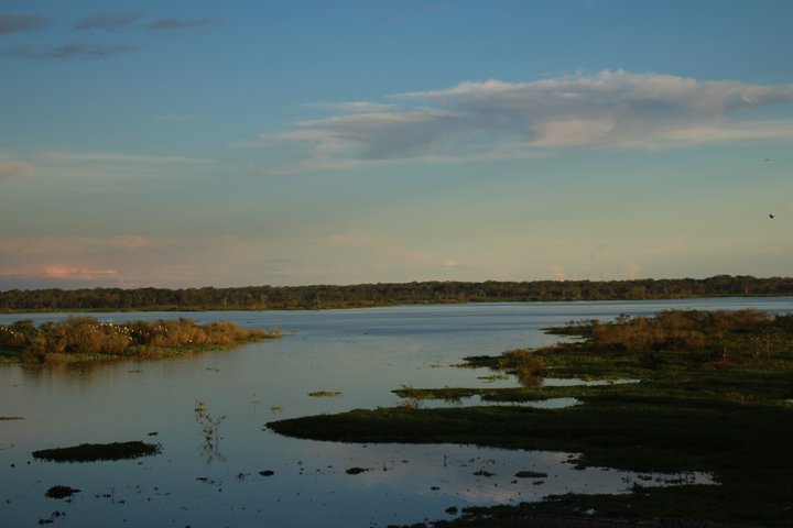 2020 Feb. Iquitos, Peru 亞馬遜的美麗與哀愁