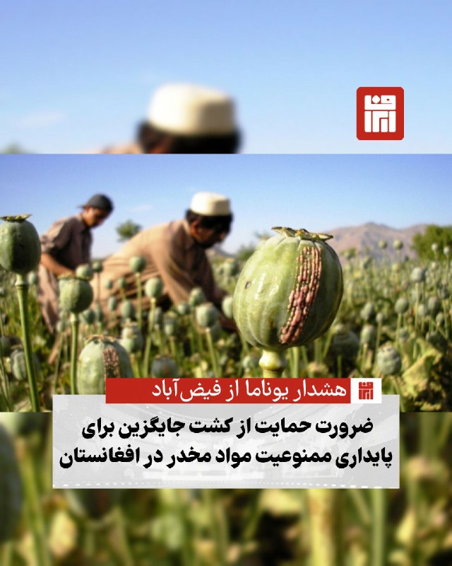 افغانستان و هرات: 🔴 سرپرست هیئت نمایندگی سازمان ملل متحد در افغانستان (یوناما) در جریان سفر رسمی به ولایت بدخشان تأکید کرد که تداوم و اجرا
