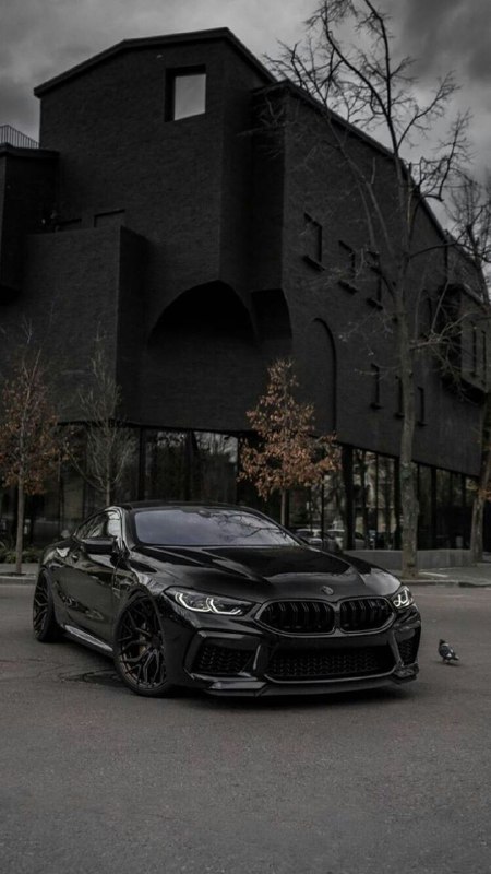 https://t.me/bmw_mpower_club