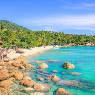 Telegram profile photo for Главный чат||Панган/Самуи 🇹🇭