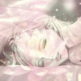 ‌ ‌ ‌ ‌ ‌ハチ‌ ‌ ‌ ‌ ‌ ‌