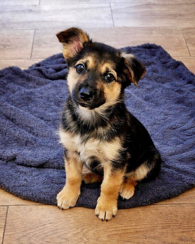 СРОЧНО. ПОЖАЛУЙСТА, ОБРАТИТЕ ВНИМАНИЕ. 2 мес — фото 1