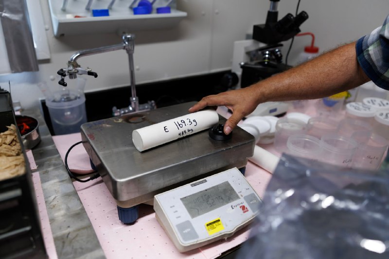 לפיטר ת'יל יש מיזם חדש: חומרי נפץ עבור המל"טים החדשים של הפנטגון