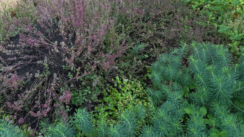 Уехала к бабушке за воспоминаниями из детстваВажная часть жизни, которую я отодвинула в сторону на многие годы — лет 10. Сама себя наказала, отказавшись от такой красоты 😍Уехала к бабушке за воспоминаниями из детстваВажная часть жизни, которую я отодвинула в сторону на многие годы — лет 10. Сама себя наказала, отказавшись от такой красоты 😍