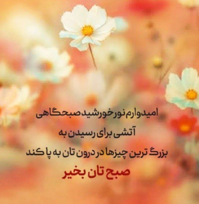 ️️️️🌐 اخبار آستارا 🌐: صبح را که دیدییعنی هنوزقصه تمام نشده...هنوز میشوداز نو شروع کردهنوز میشودبرای چیزی که دوستش داریقدم برداشتهنوز میشودد