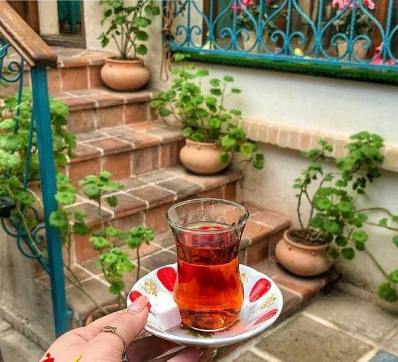 🌹 نغمه های بیرنگی 🌹: ▫️دلگیر ز عصرِ بی‌وفایی شده‌امدلخسته ز آهنگِ جدایی شده‌امای صبح مرا به زندگی دعوت کندلتنگِ دو استکانِ چایی شده‌ام#صفيه_ق