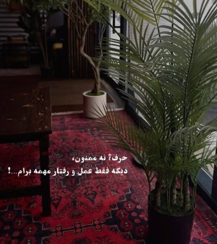 👑 شهر عکس 👑: 💜 @shahreeaks 💜