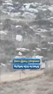 מתנחל גונב חמור ומענה אותו באמצעות גרירתו עם רכב בדרום חברון