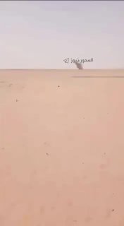 —️🇸🇦/🇾🇪 חדש: הכוחות המזוינים התימנים ביצעו התקפות מל"טים וטילים נגד מורדים בגיבוי סעודים בתימן, וחיסלו…
