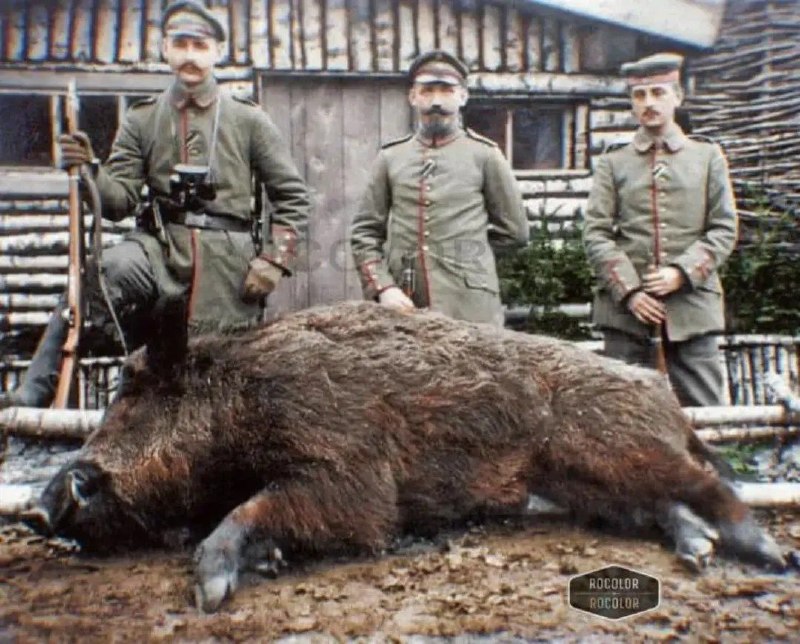 تاریخ قرن بیستم WW1-WW2: 🇩🇪 سربازان هنگ ۲۳۳ پیاده‌نظام آلمان به همراه یک گراز شکار شده در جبهه غربی جنگ جهانی اول. دسامبر ۱۹۱۶🔻سربازان به تفنگ‌ ک