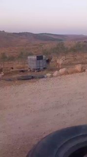 רשת חדשות ירושלים
