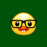 romsper | QA Buddy