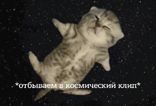 Ученые выяснили, как именно формируются сюжеты снов: https://lentach.media/m8sGP
