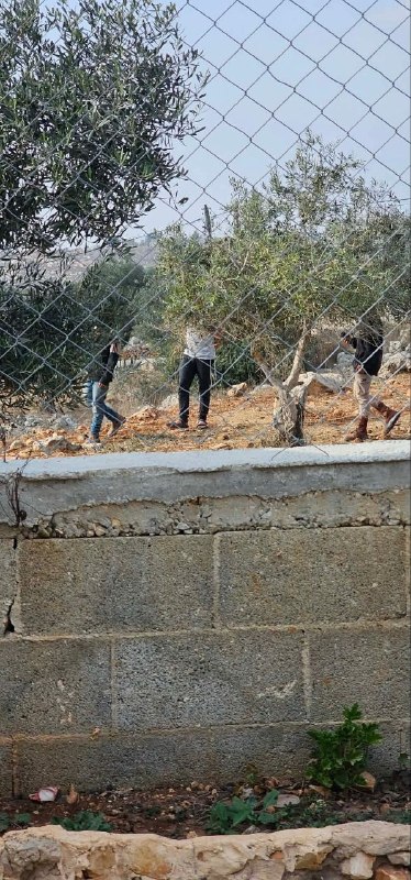 מתנחלים תקפו את ביתו של האזרח בסיל יאסין באזור נסבה בכפר יאסוף, מזרחית לסלפית.