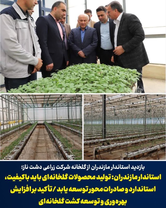 استانداری مازندران: 🔺بازدید استاندار مازندران از گلخانه شرکت زراعی دشت ناز؛استاندار مازندران: تولید محصولات گلخانهای باید باکیفیت،استاندارد