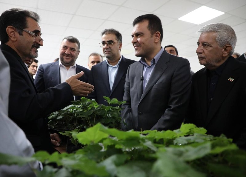 خبرفوری: نمایش توان فناورانه کردستان در حضور معاون رئیسجمهورمعاون علمی، فناوری و اقتصاد دانشبنیان رئیسجمهور در جریان سفر به کر