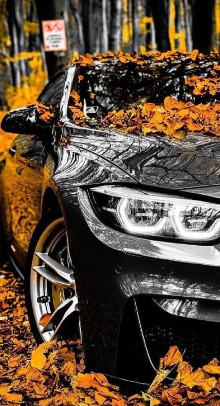 https://t.me/bmw_mpower_club