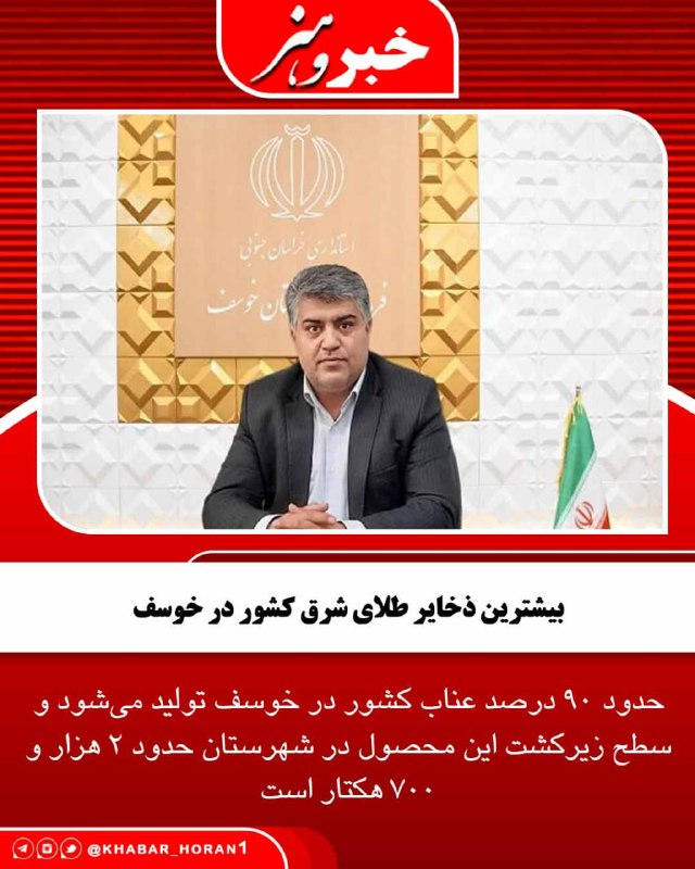 پايگاه خبري تحليلي خبر و هنر: فرماندار خوسف در خراسان جنوبی از تولید ۹۰ درصد عناب ایران در این شهرستان و افزایش ظرفیت نیروگاه‌های خورشیدی خوسف به ۵۰ م