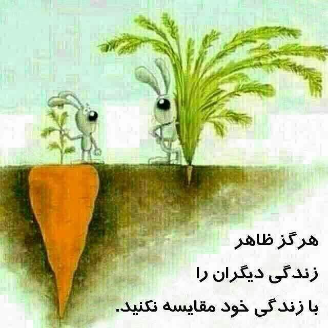خبرلحظه ای: هرگز ظاهر زندگی دیگران را با زندگی خود مقایسه ســـــــــــــــلام صبــــــــــح بخیـــــــر❤🌹🔖 @khabare_lahzei