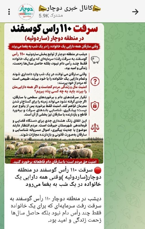 کانال خبری کنارصندل: ⭕️سرقت ۱۱۰ رأس گوسفند در دوچار ساردوئیه؛ وقتی یک شب، حاصل یک عمر را می‌بلعد🔻طبق گزارش کانال خبری دوچار، شب گذشته در منطق