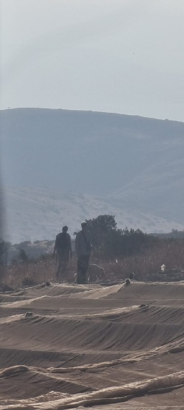 מתנחלים מסתערים על קהילת צפון ירזא, מזרחית לתיאסיר, מזרחית לטובאס