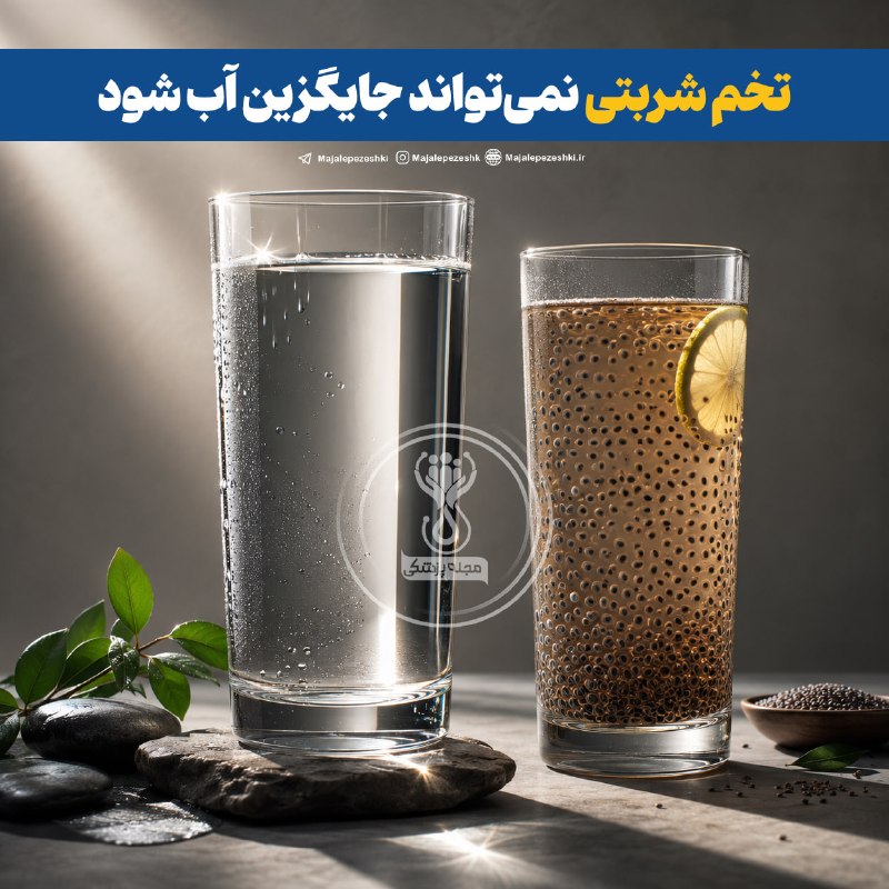 مجله پزشکی: تخم شربتی نمی‌تواند جایگزین آب شود!◽️زرشناس، متخصص داروسازی سنتی، اعلام کرد که تخم شربتی می‌تواند به تحمل بهتر گرما کمک 