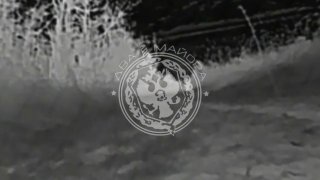 כיוון דרוז'קובסקויה השומרים של גדוד הרובאים הממונע ה-33 ממשיכים לחלוק צילומים של נזקי אש לאנשי האויב. במהלך…