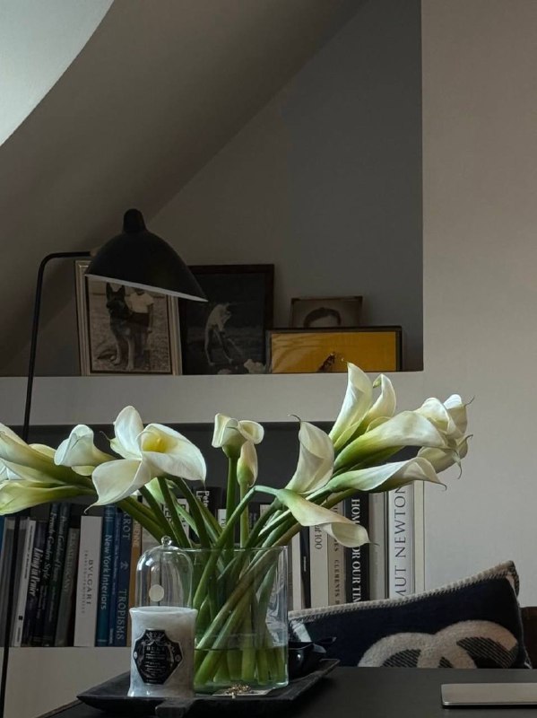 Цветочное настроение Please open Telegram to view this post VIEW IN TELEGRAM - изображение 2 - telegram, view, цветочное