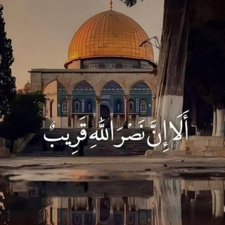 القراءة🌿حياة_أدب